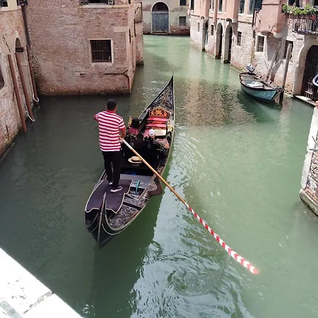 Domus Biennale, Modern In Centre. * 威尼斯