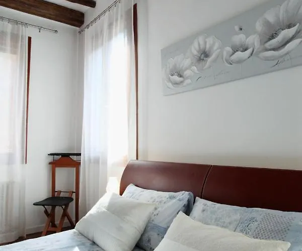 Domus Biennale, Modern In Centre. 威尼斯